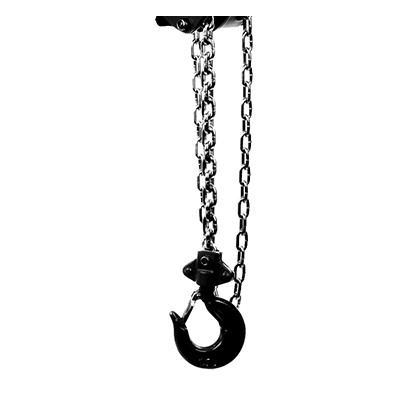 Chains for hoist
